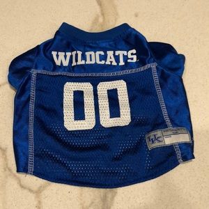 University of Kentucky Pet Jersey